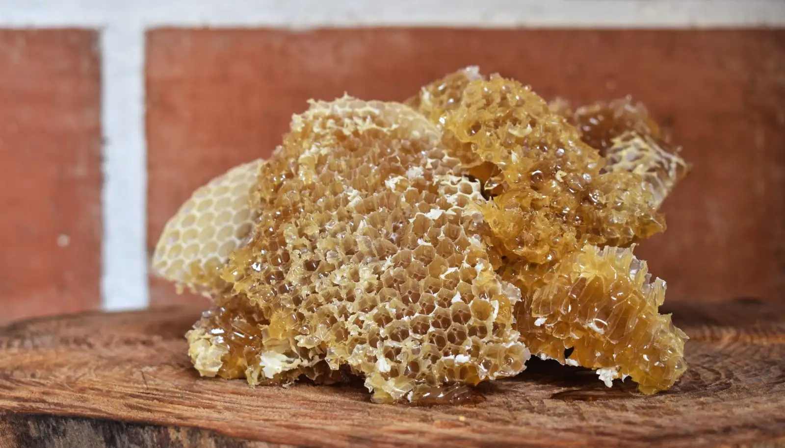 Propolis : origines, bienfaits et précautions